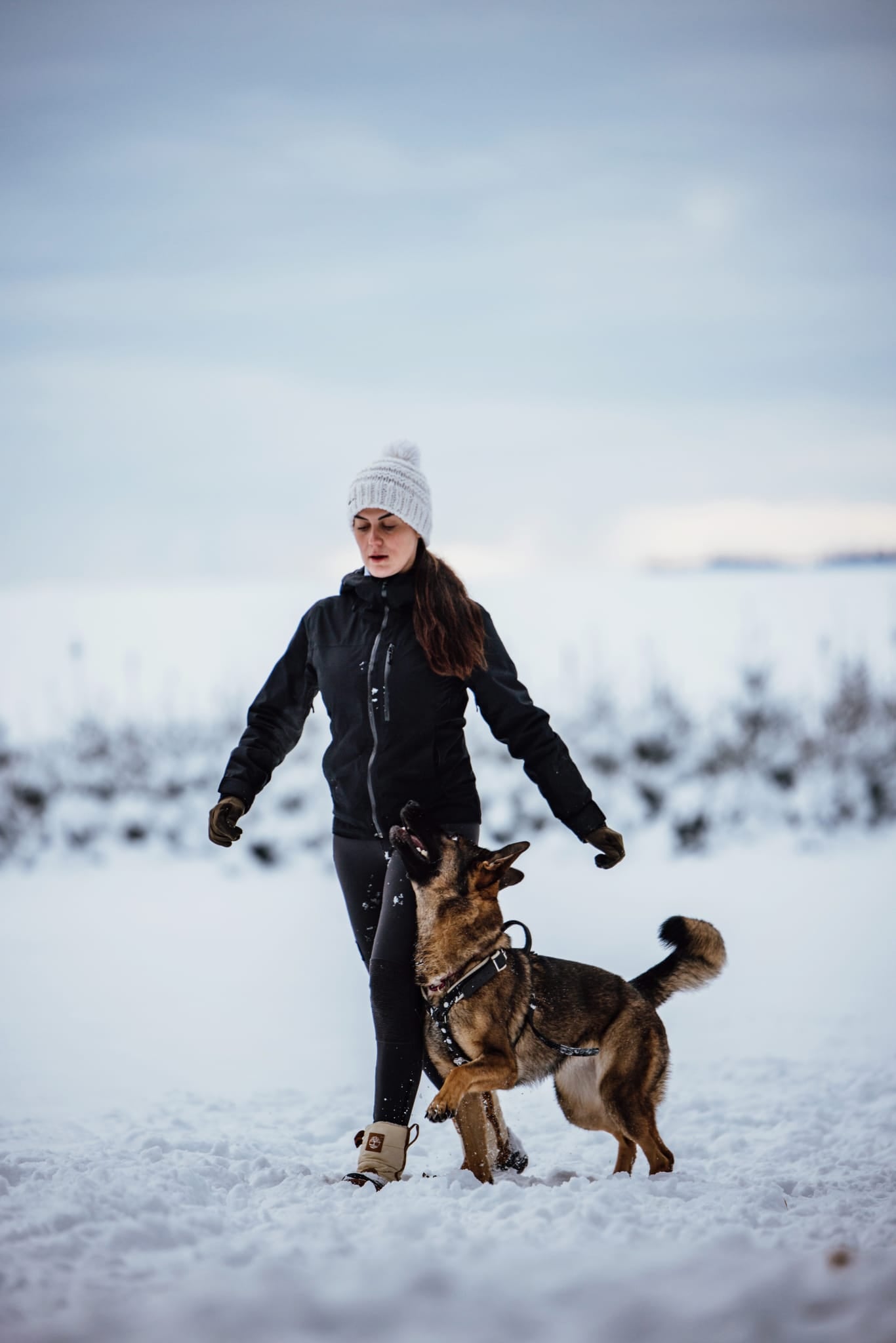 3-Day Obedience Workshop